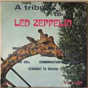 Gerry Crush - A Tribute To Led Zeppelin