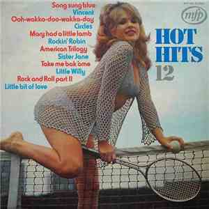 Unknown Artist - Hot Hits 12