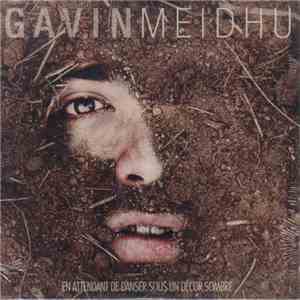 Gavin Meidhu - En Attendant de Danser Sous Un Décor Sombre