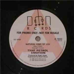 That Petrol Emotion - Natural Kind Of Joy