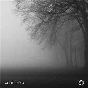 Various - Aesthesia