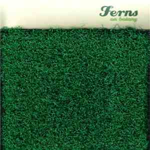 Ferns - On Botany