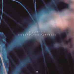 Gallery Six - Underwater Paradise