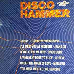 Unknown Artist - Disco Hammer