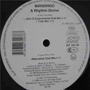 Mandingo  - A Rhythm Divine