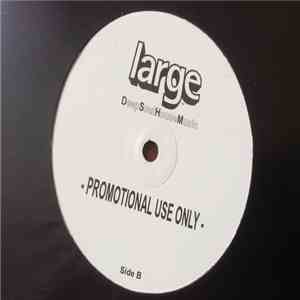 Miguel Migs - Future Flight