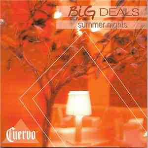 Various - Big Deals Summer Nights