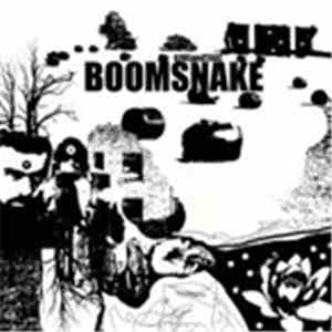 Boomsnake - Give and Take