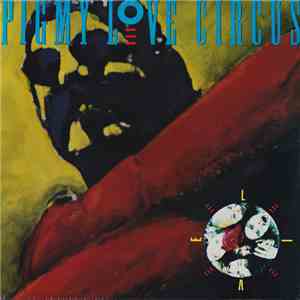 Pigmy Love Circus - Live